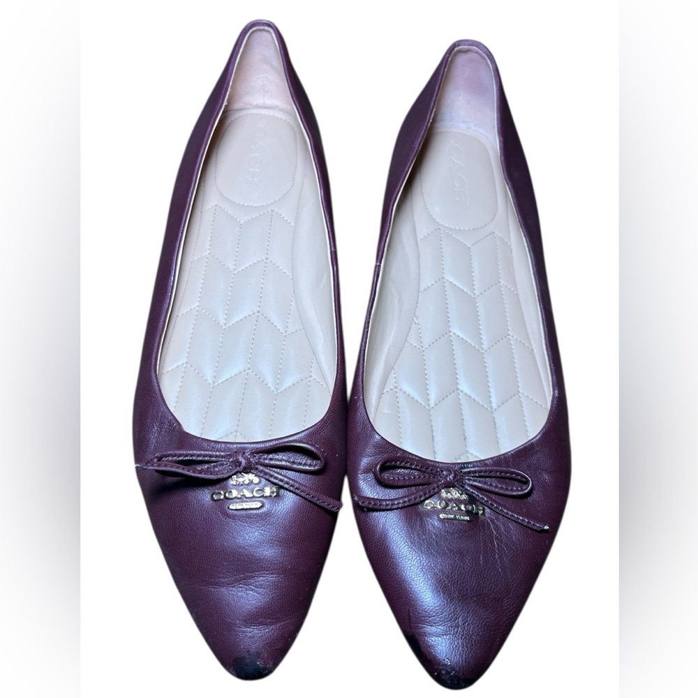 Coach Annabelle Ballet Flats Burgundy US 11B